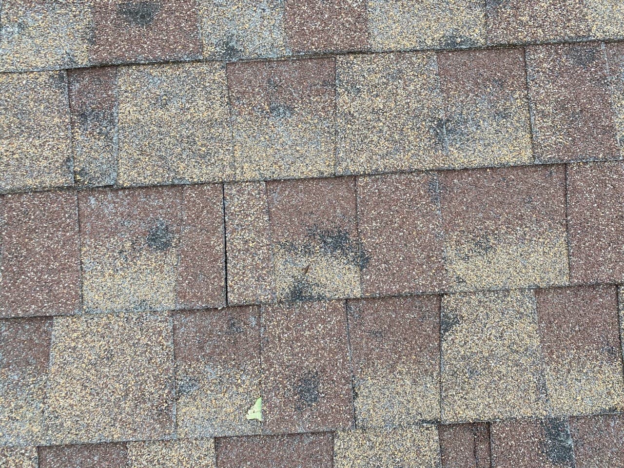 Close-up of asphalt shingles with mineral granules.